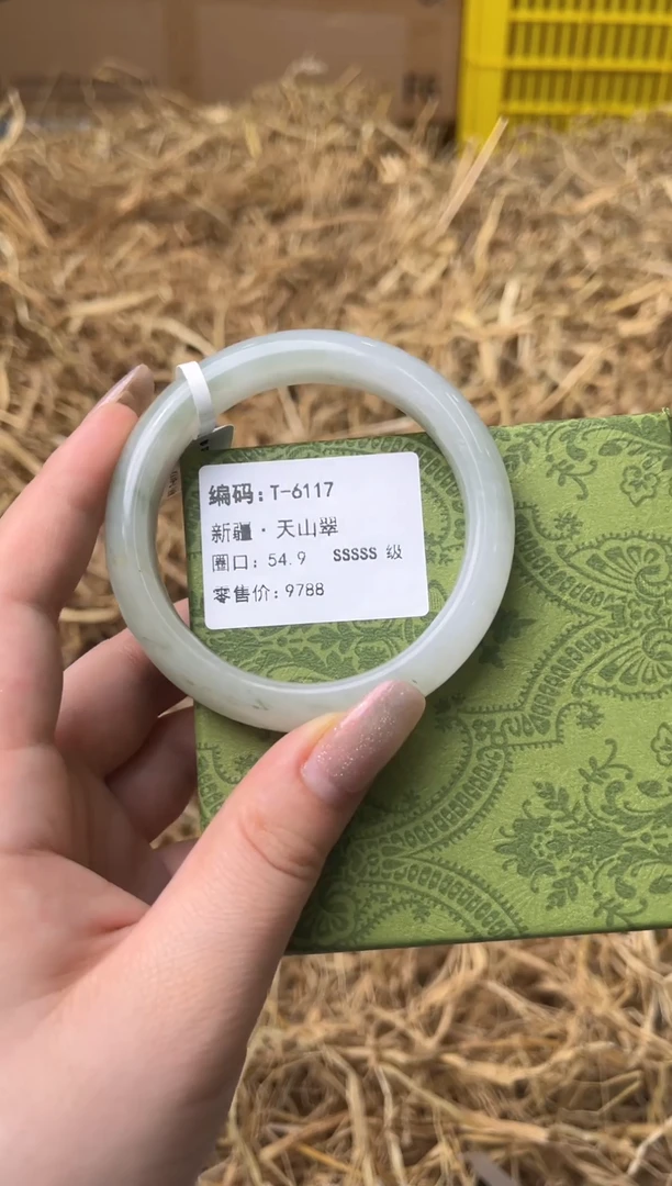 未镶嵌手镯石英质玉T-6117