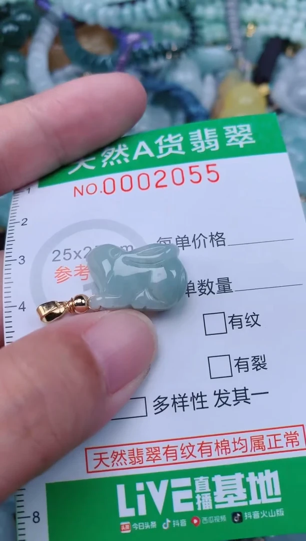 翡翠未镶嵌颈饰.0002055