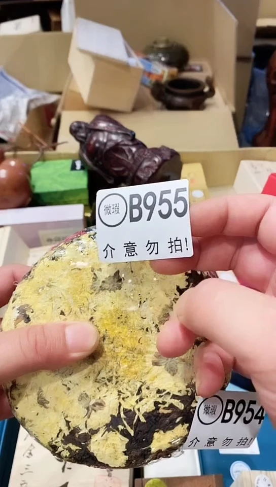 小*B9550000000000