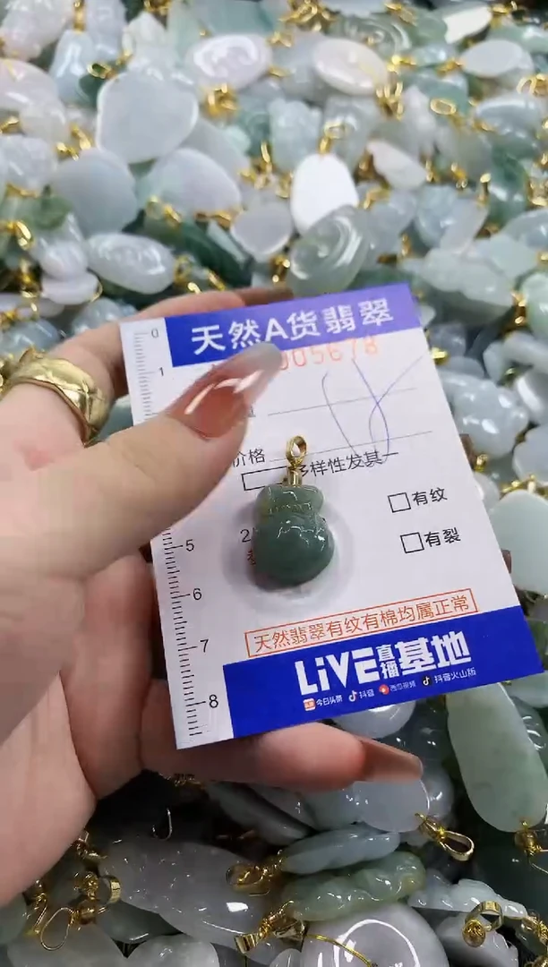 颈饰未镶嵌翡翠天然A货翡翠