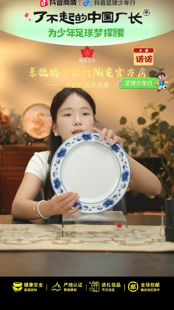 1个微瑕满汉全席10英寸平盘