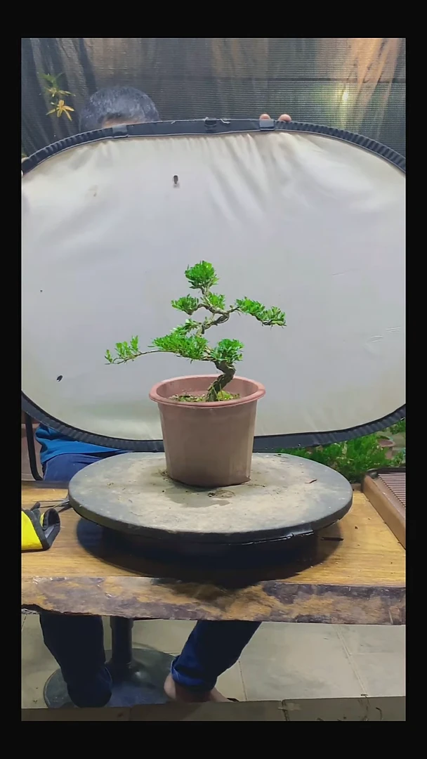 完全开放A*超11111111111