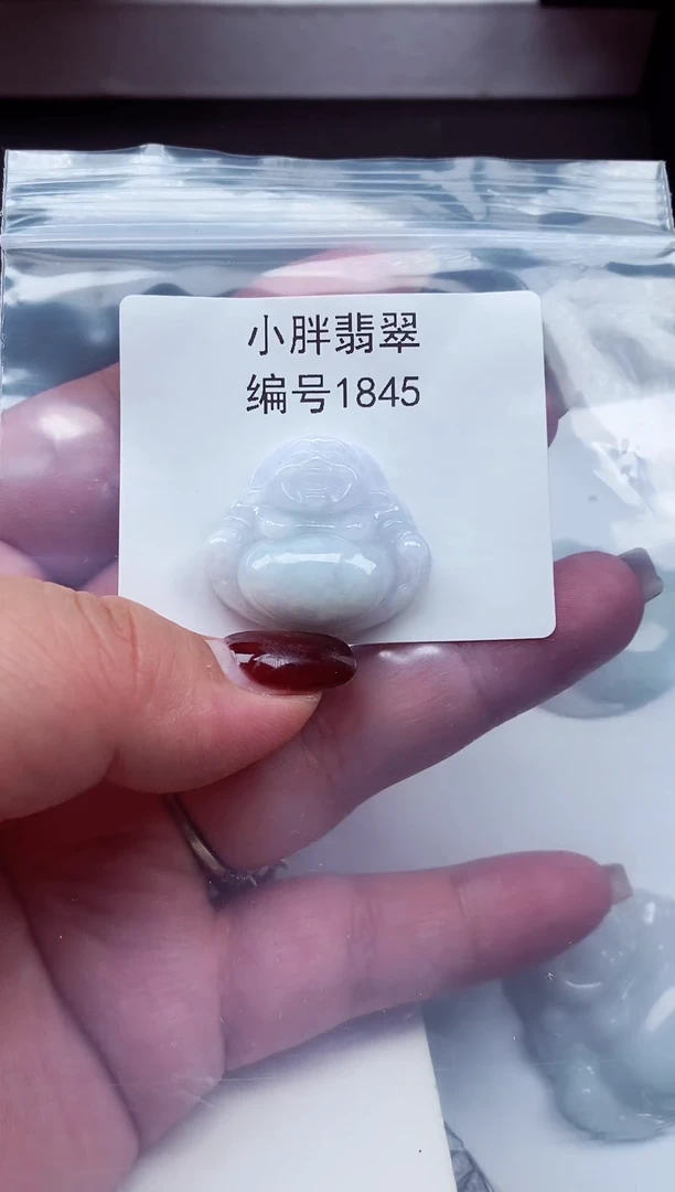颈饰未镶嵌翡翠如**姐缅甸天然A货翡翠1845