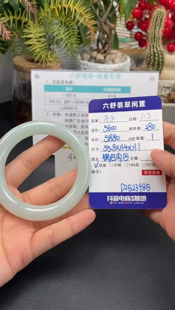 未镶嵌手镯翡翠肆*D2523985