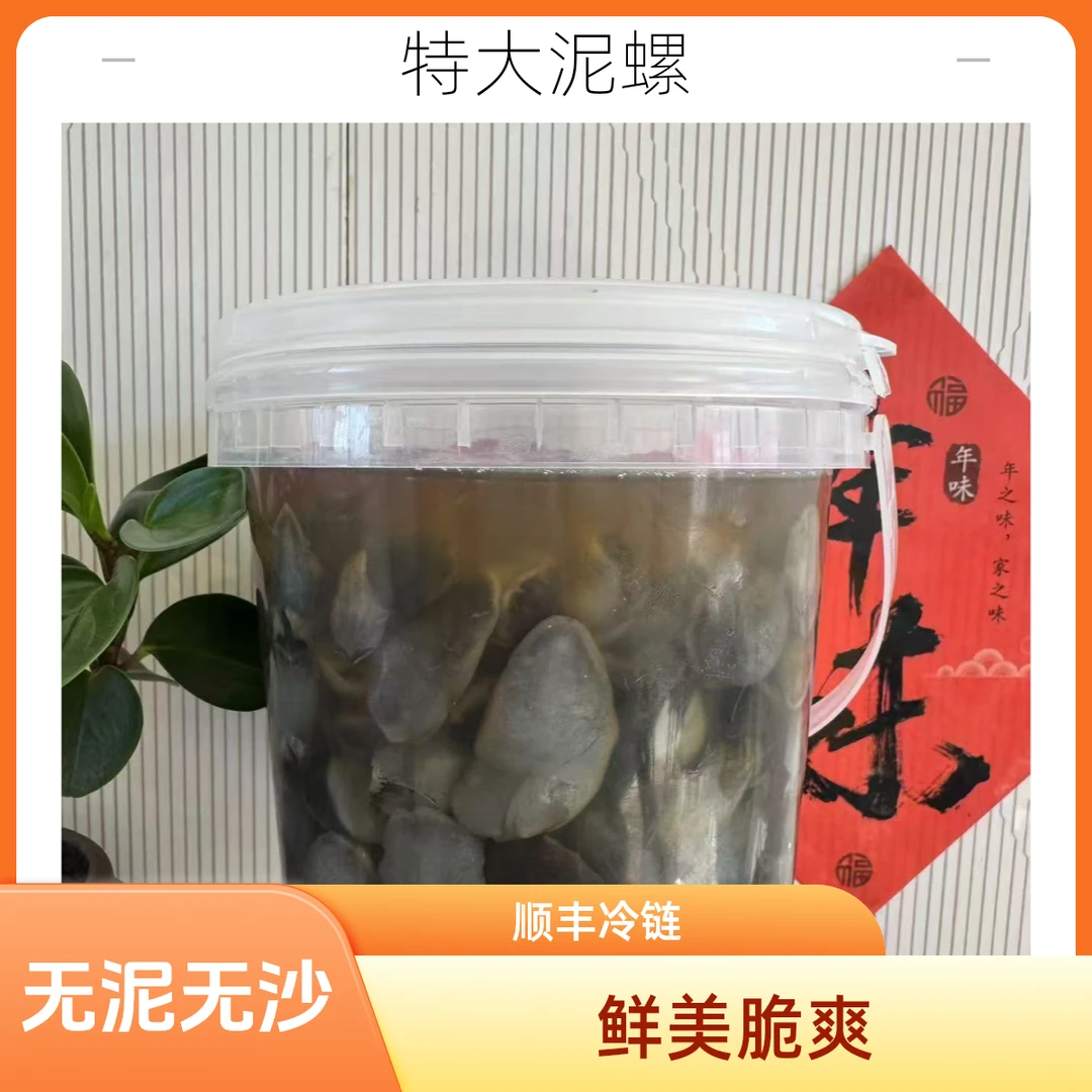 天兴2斤特大超肥大桶装即食泥螺脆爽东港特产（固形物≥55%）