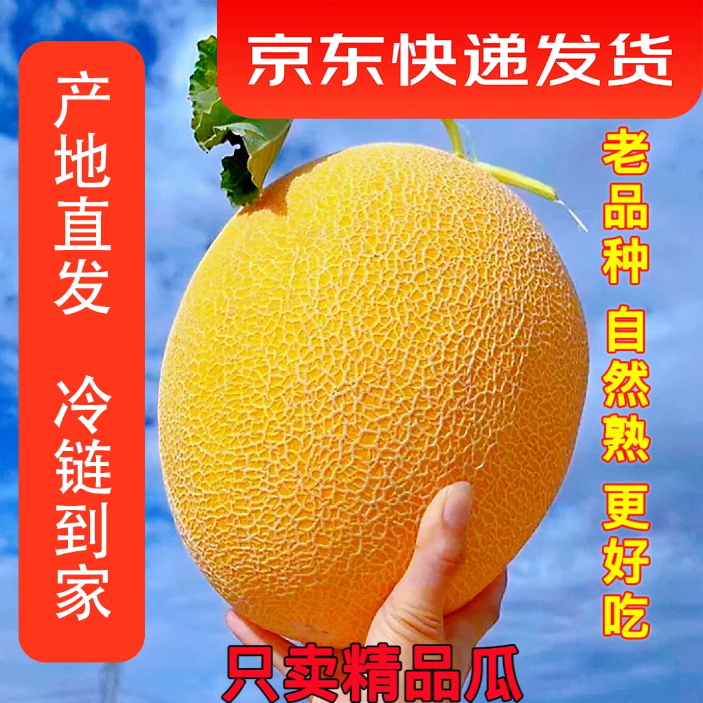 LX京东空运正宗新疆金色年华哈密瓜应季新鲜脆甜多汁水果