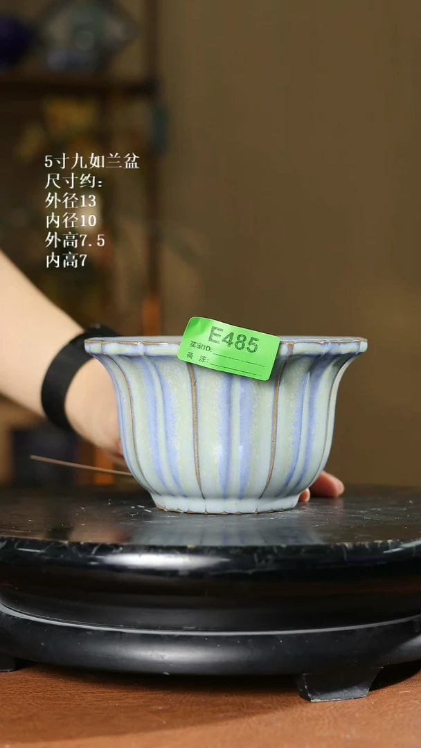 5寸九如兰盆 家居级485