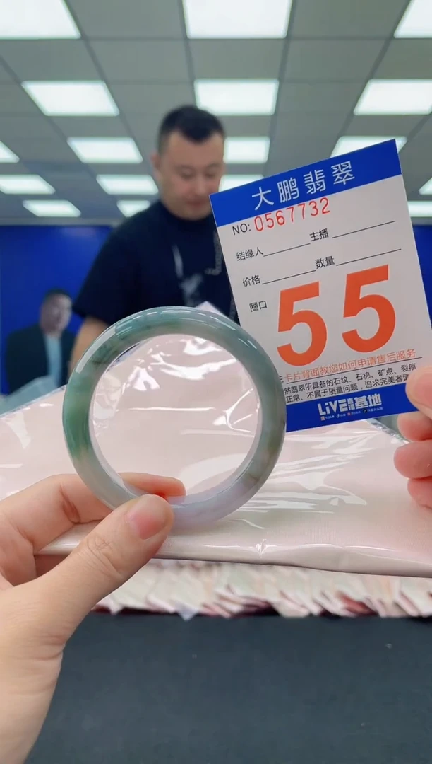 未镶嵌手镯翡翠AAAAAAAAAA