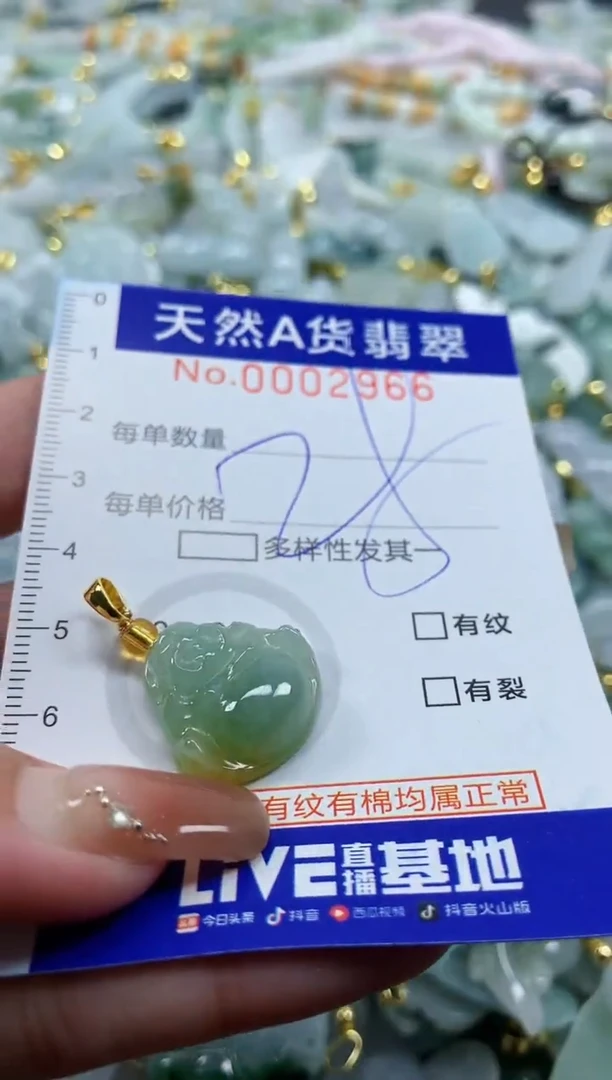 颈饰未镶嵌翡翠天然A货翡翠
