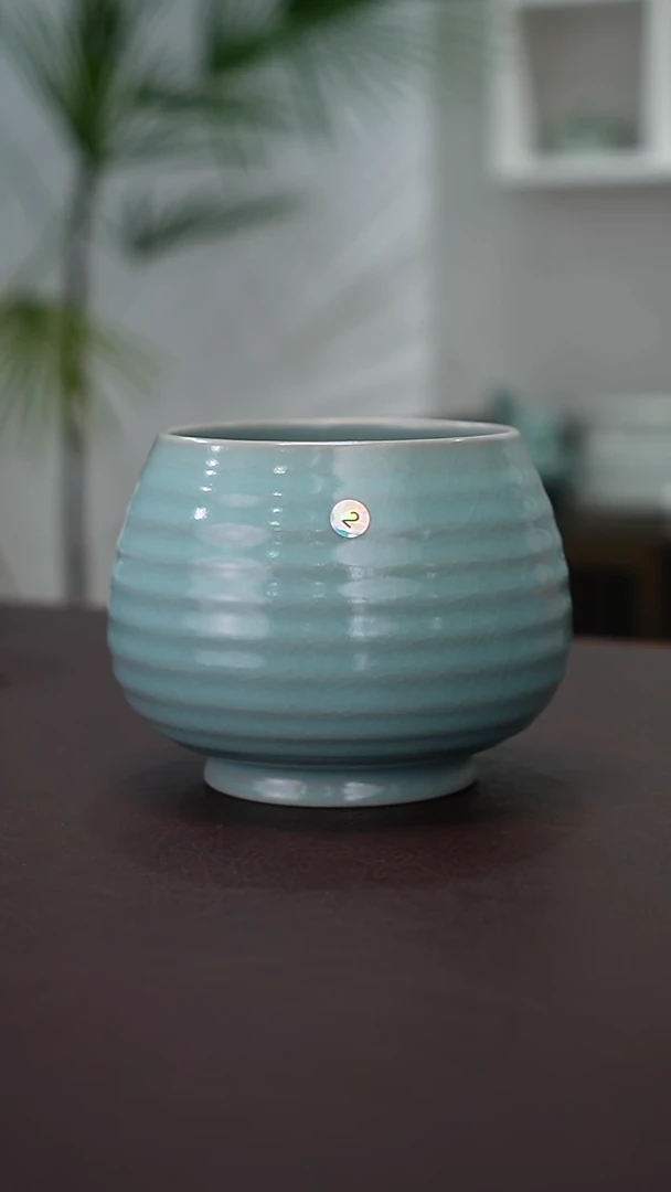 2号莲子钵一级品  洁