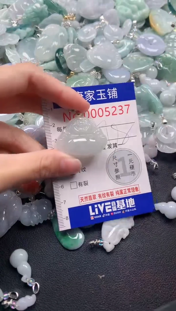 颈饰未镶嵌翡翠5237