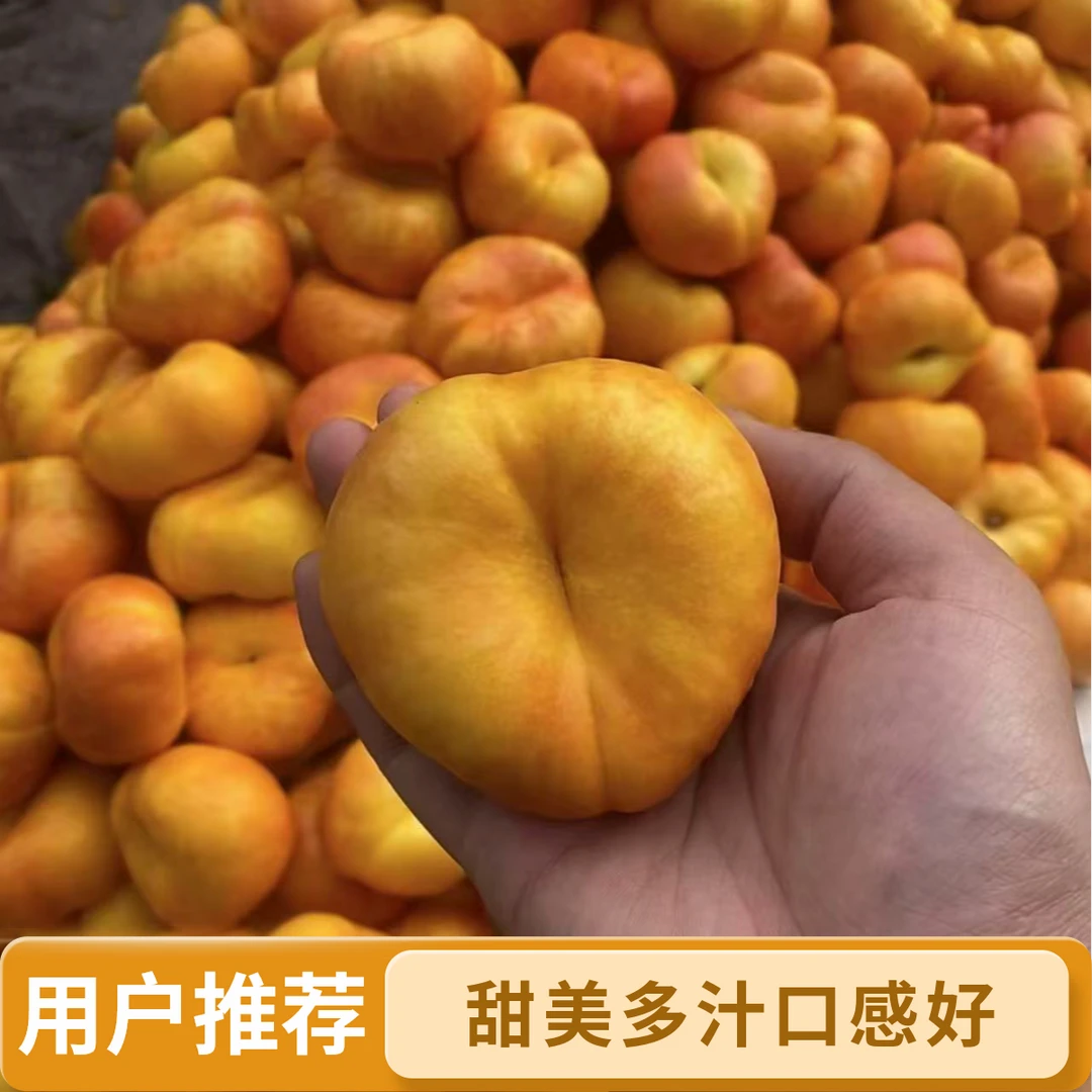 【李岚专享】山东彩虹油蟠桃新鲜应季蜜桃甜嫩多汁3/4.5斤快递包邮