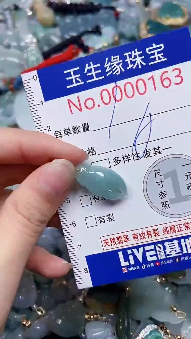 【闪购商品】翡翠颈饰未镶嵌闪购00000163