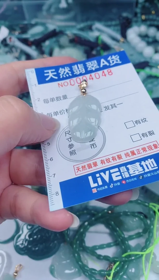 颈饰未镶嵌翡翠00004048