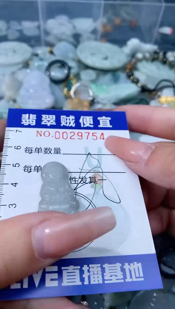 翡翠未镶嵌颈饰L闪购0029754