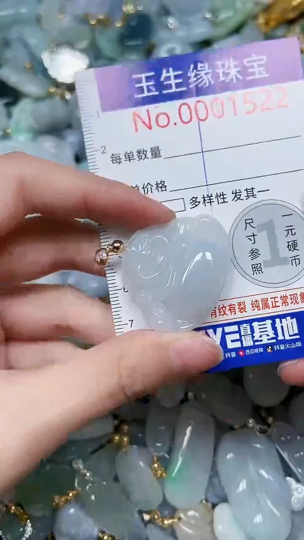 【闪购商品】翡翠颈饰未镶嵌闪购00001522