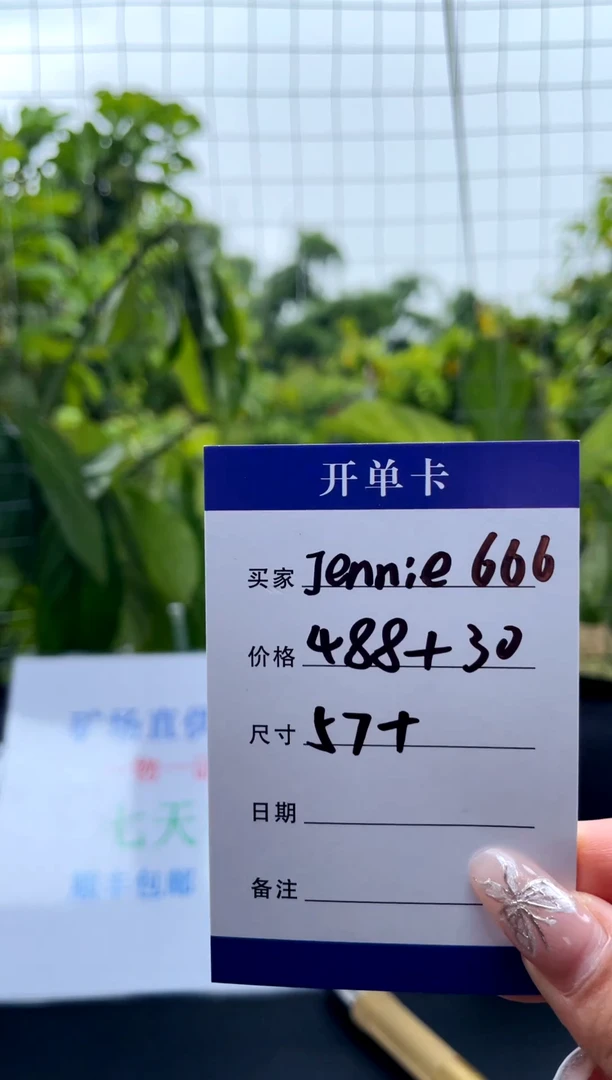 非金属无J****6手镯下单链接一单一付