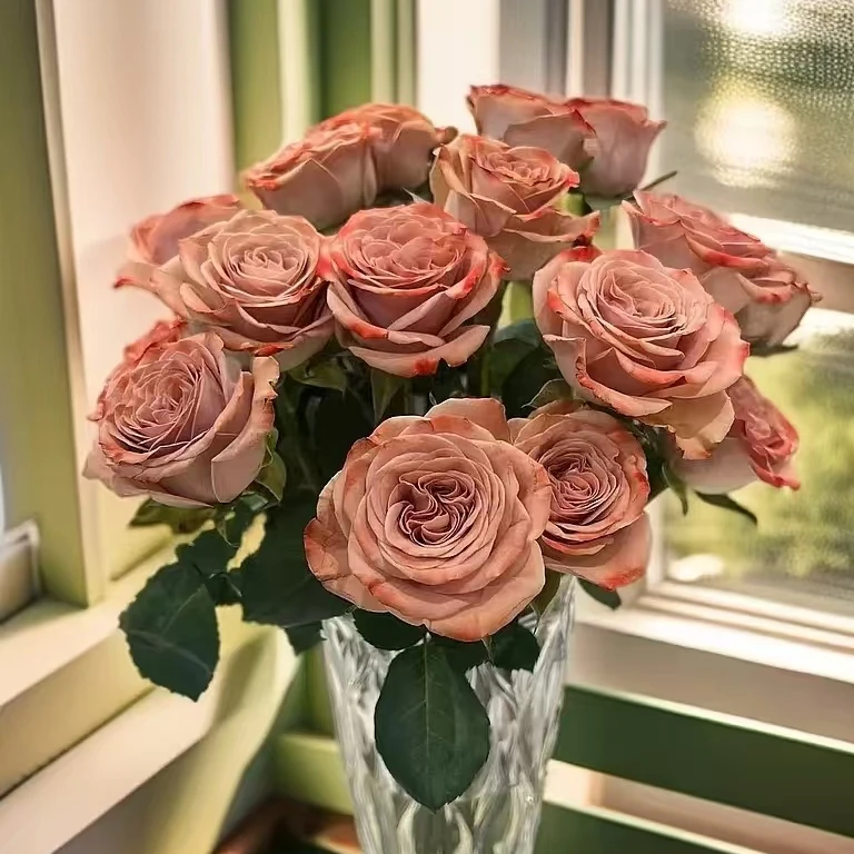 10枝卡布奇诺单头玫瑰复古色云南鲜花基地直发鲜切花居家办公插花