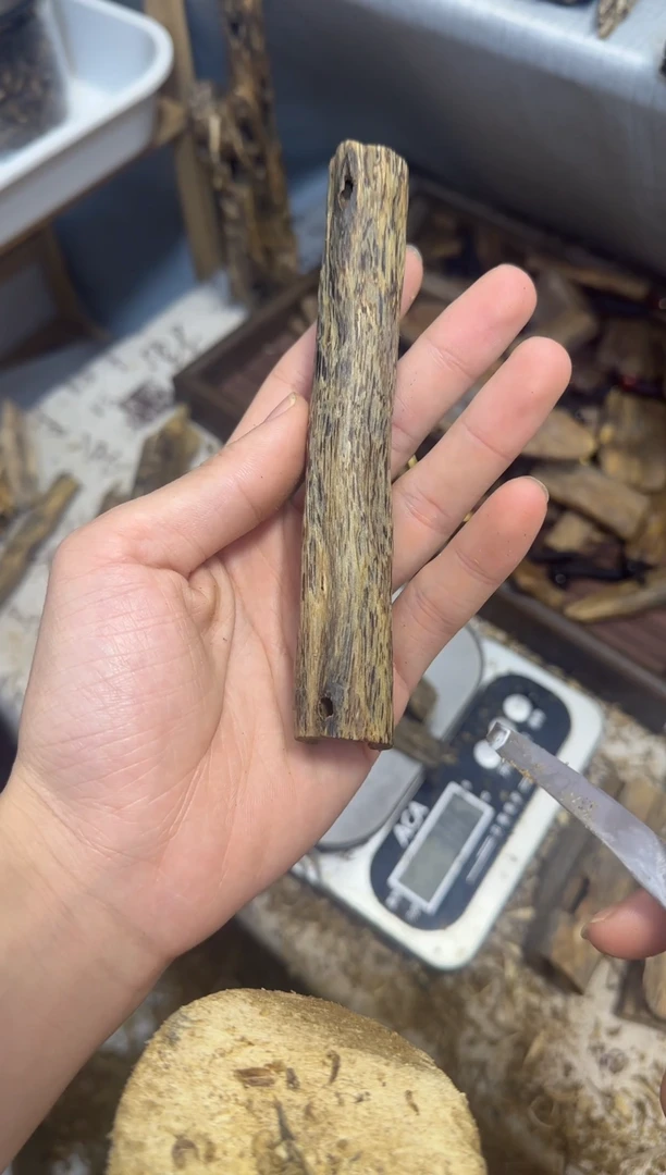 沉香沉香碎屑张勺子