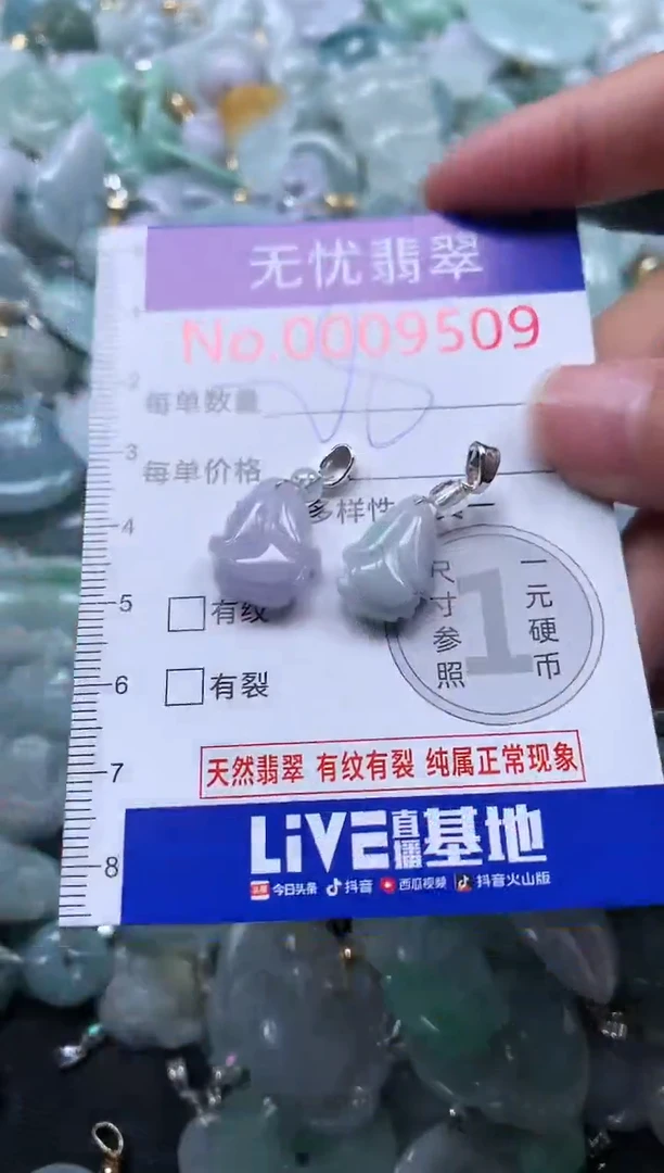 颈饰未镶嵌翡翠9509