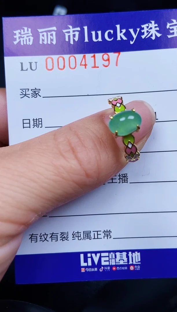 翡翠银S925镶嵌颈饰4197