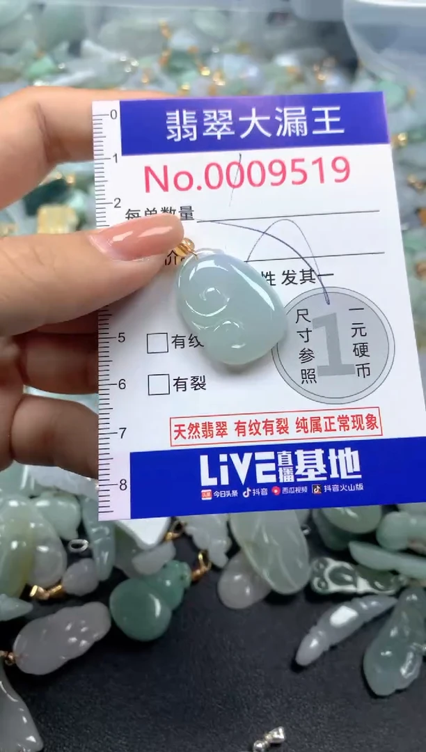 颈饰未镶嵌翡翠9519