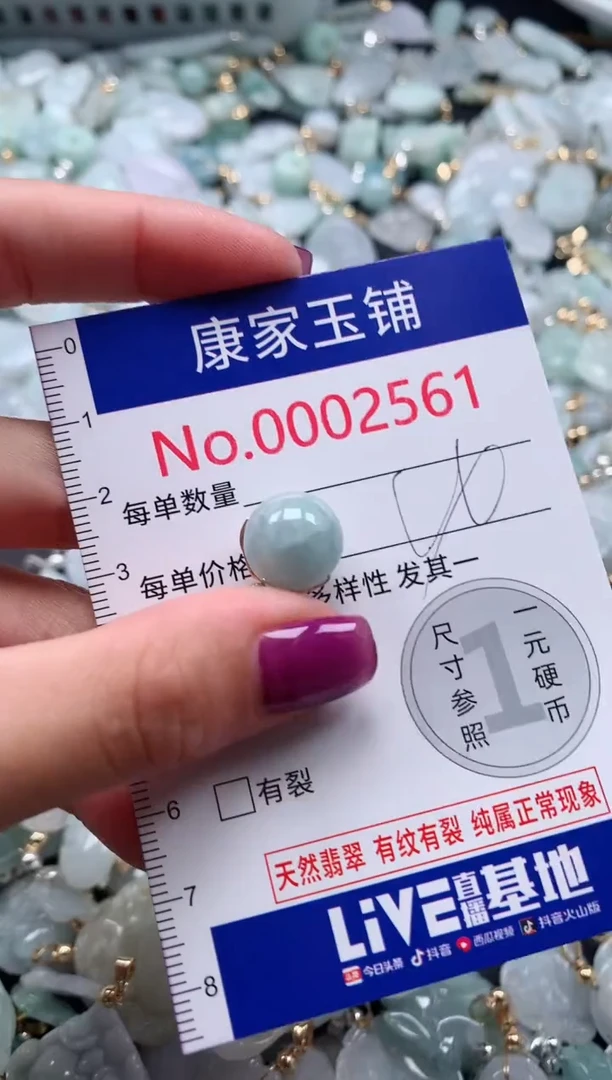 颈饰未镶嵌翡翠2561