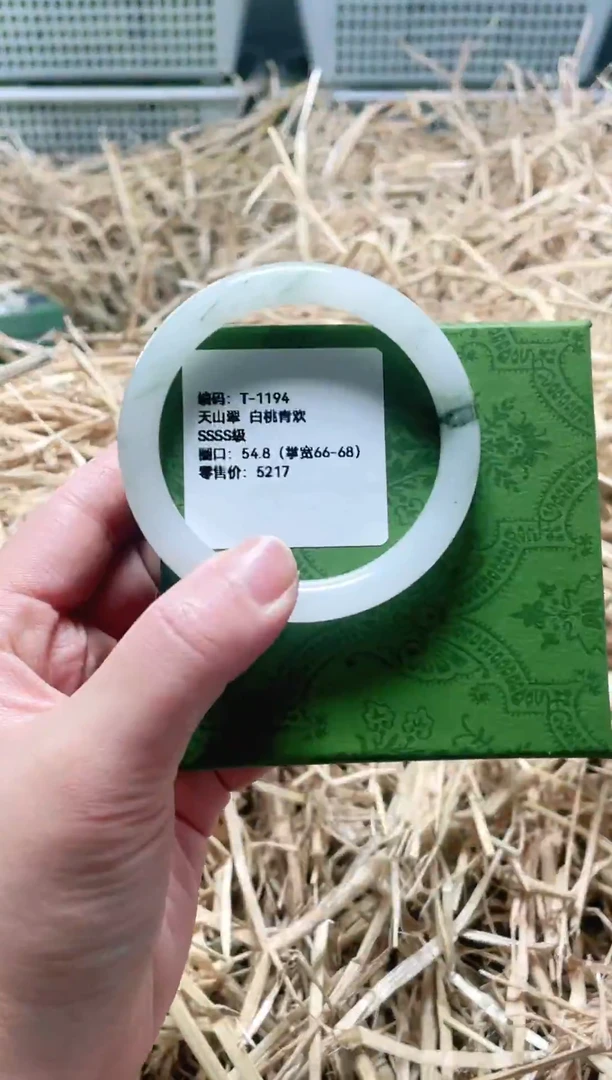 未镶嵌手镯石英质玉T-1194