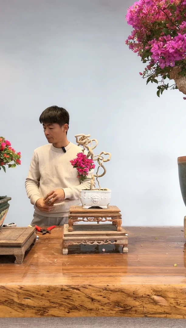 【闪购商品】aa936