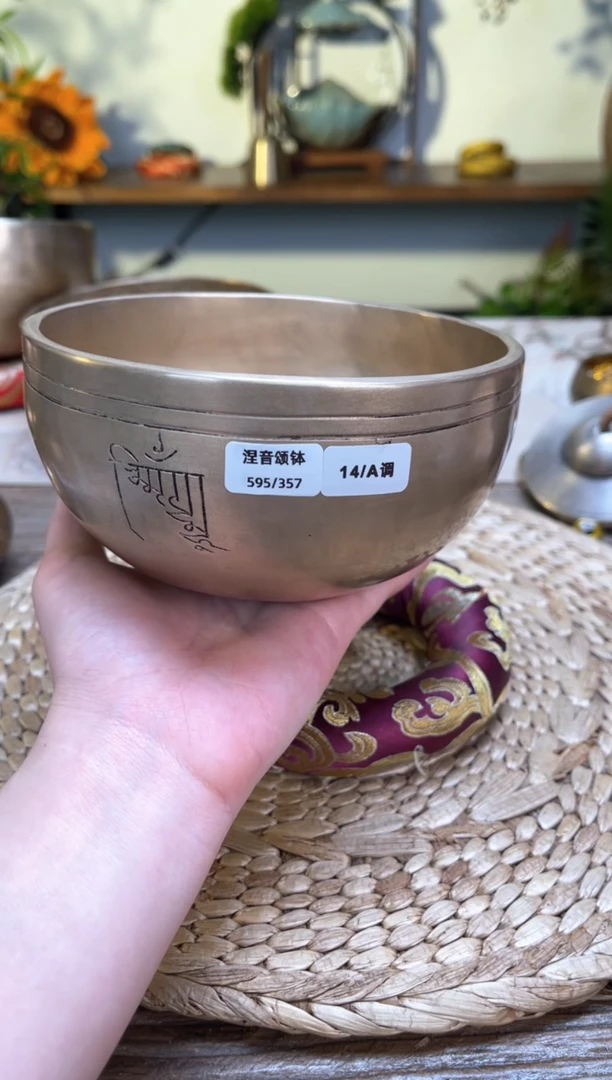 【闪购商品】钵涅音口径14CM-A调（无配件）