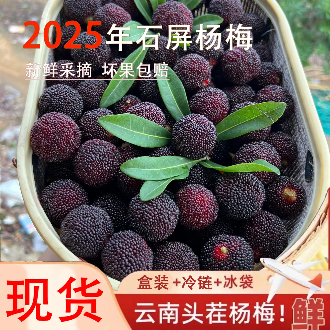 【空运发货】杨梅云南高原早熟盒装酸甜现摘现发应季水果孕妇新鲜SP