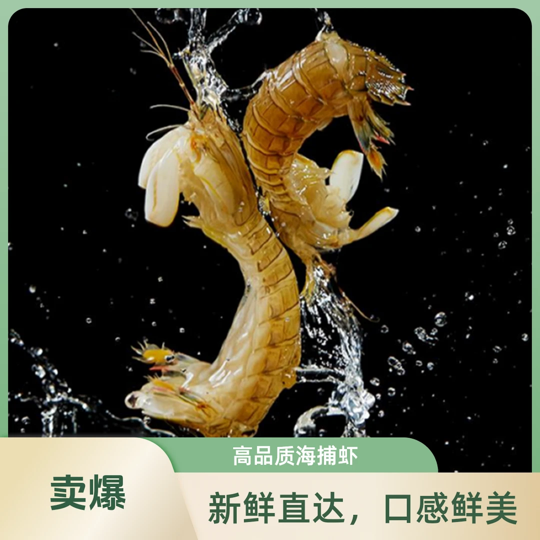 【鲜活皮皮虾】（每斤40-50只左右） 虾爬子  皮皮虾   爬爬虾      【保鲜不保活】