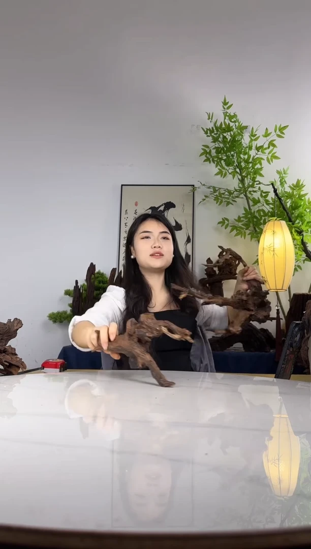 关***柿拍这个定向编号5