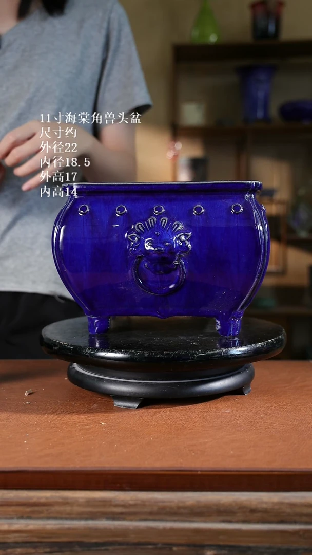 11寸海棠角兽头盆  317