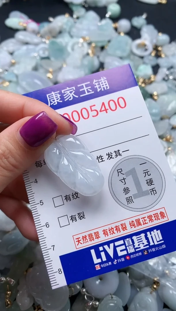 颈饰未镶嵌翡翠5400