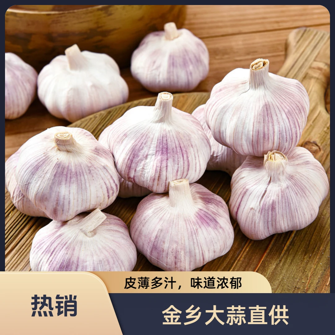 山东金乡新鲜紫白皮大蒜头农家大蒜紫皮可种可腌制紫皮大蒜