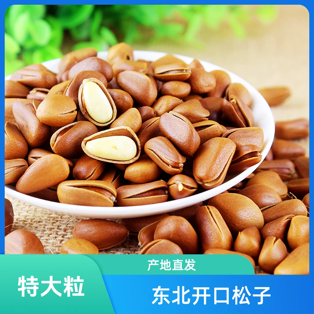 东北特大粒开口松子饱满大颗粒香脆手剥坚果零食