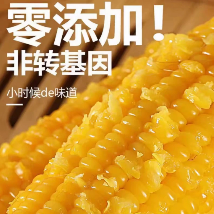 【25年头茬黄糯玉米】粗粮黄糯玉米软糯香甜博斯诺9号