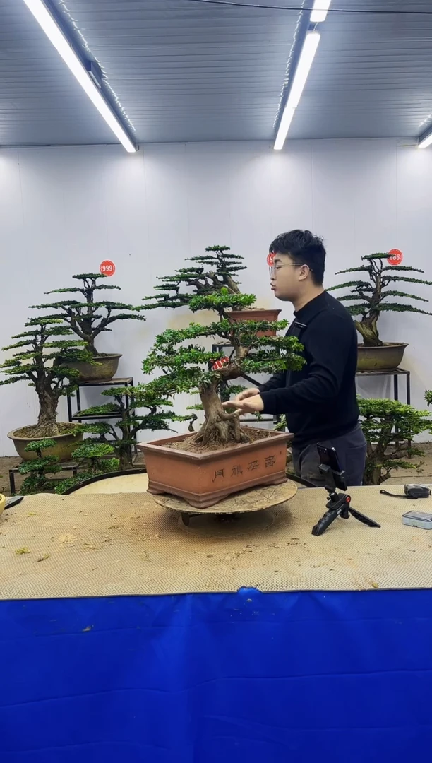 完全开放一物一拍，所见即所得