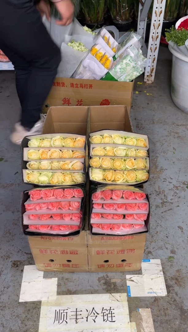 戴安娜20枝+香槟20枝