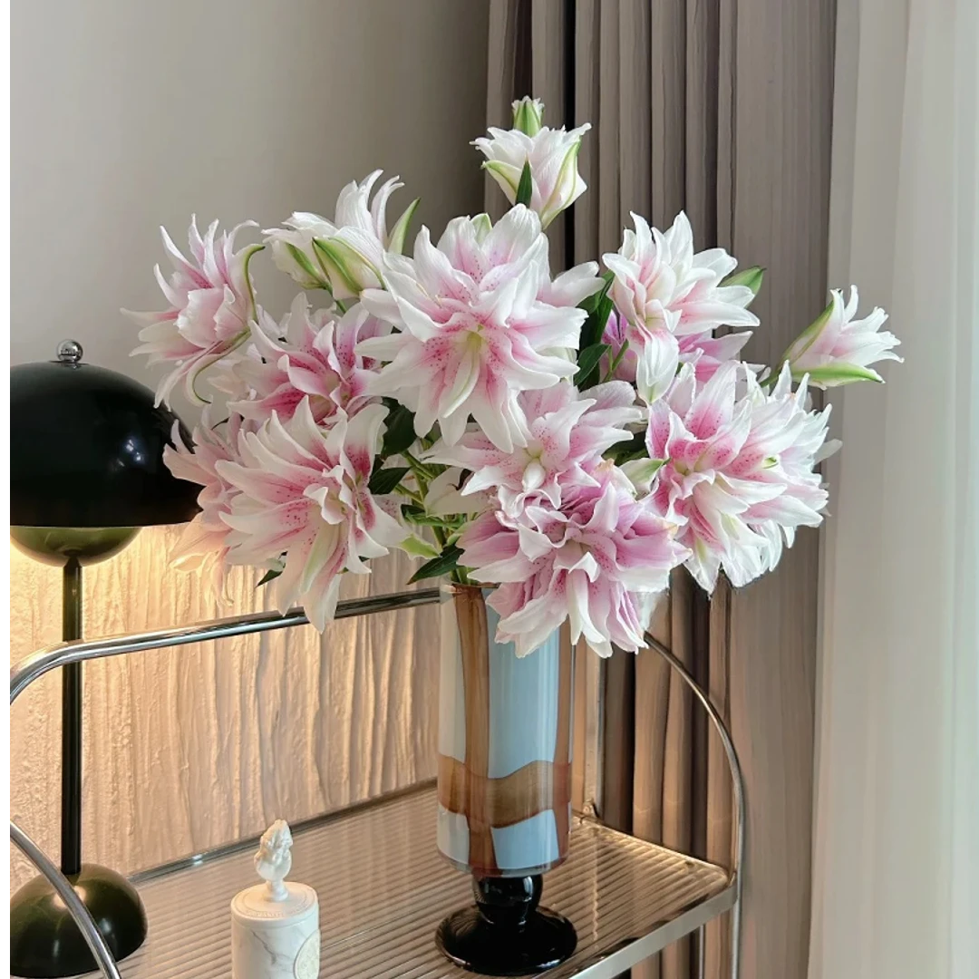 【今喜花舍】（重瓣）伊莎贝拉百合 一单顺丰冷链包邮