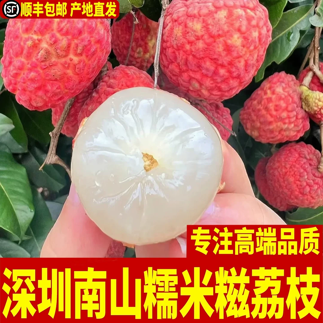 广东专属链接深圳南山糯米糍荔枝老树现摘顺丰冷链直发多汁冷链