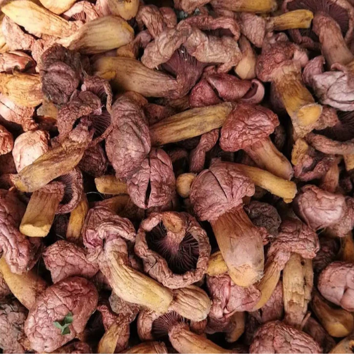 长白山野生红蘑松伞蘑菌菇干货250g/袋