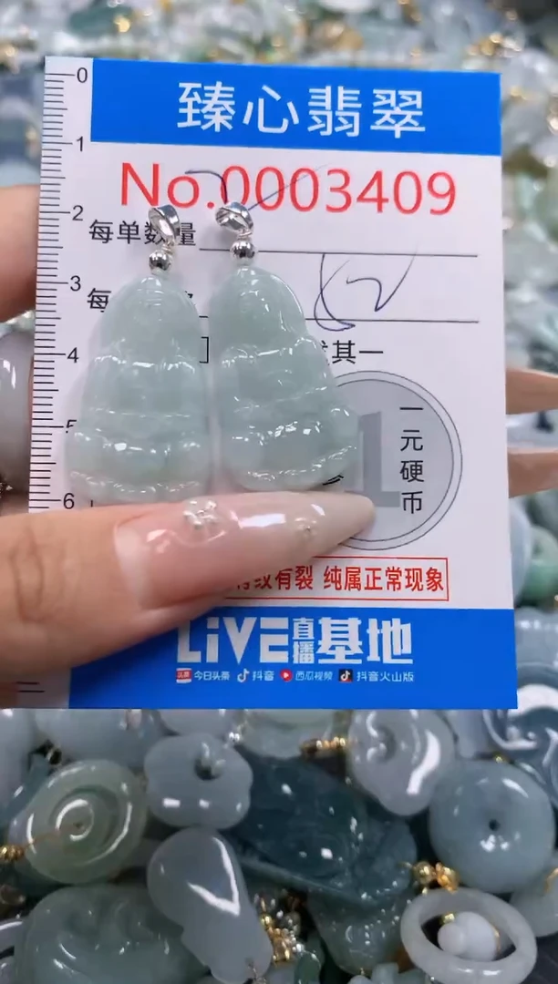 翡翠未镶嵌颈饰含绳0003409