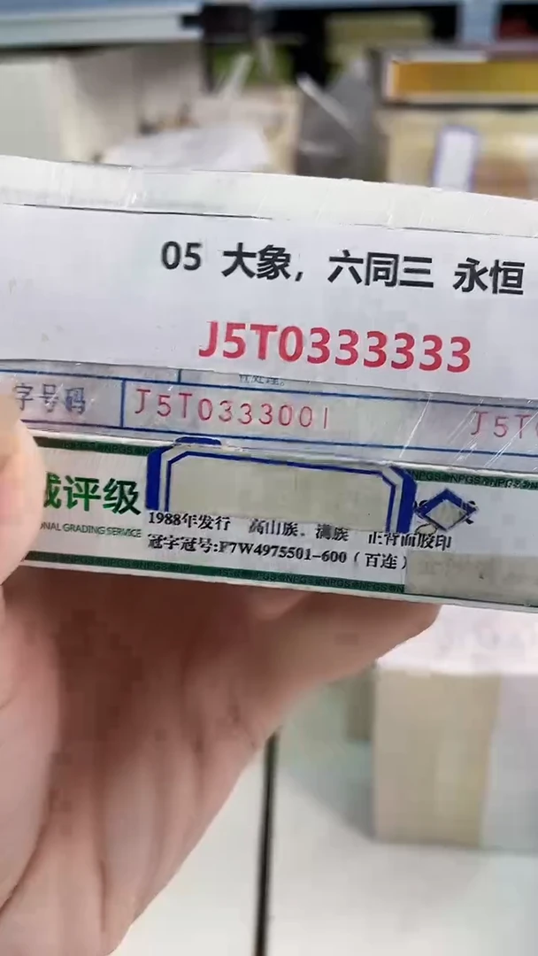 M  05 大象，六同三 永恒 J5T0333333