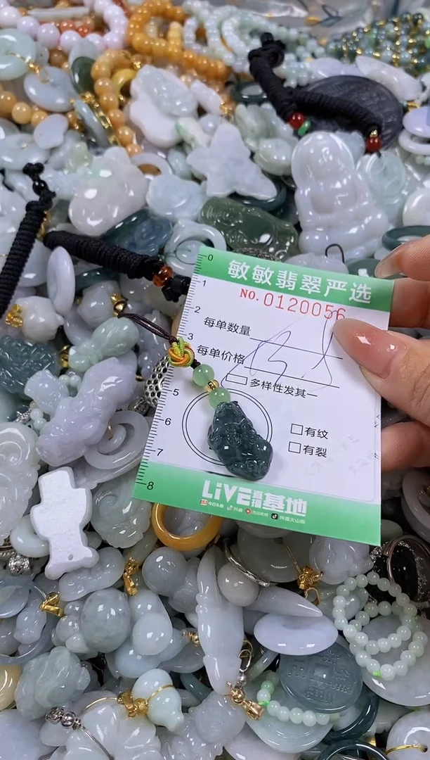【闪购商品】翡翠颈饰未镶嵌闪购0120056多样性发其一