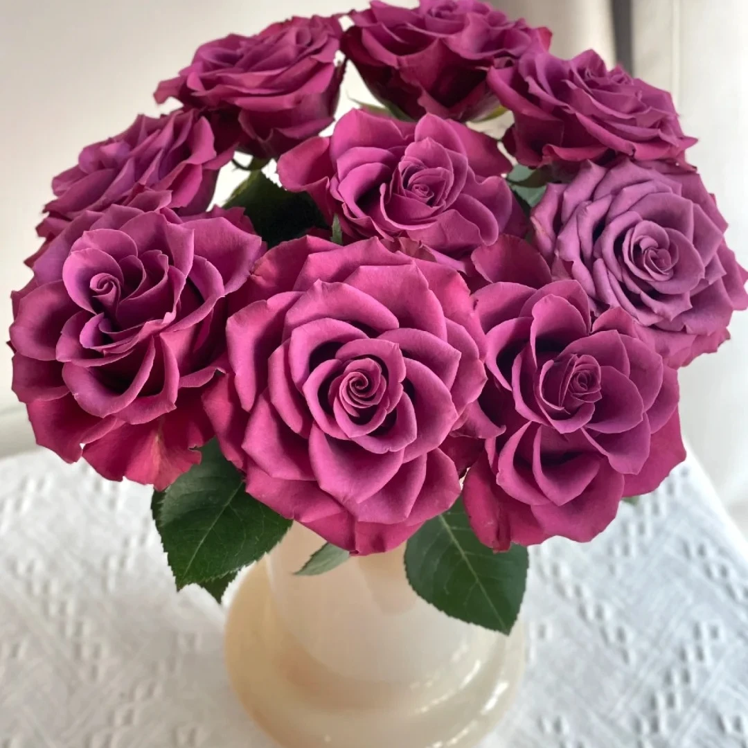 【花千花谷玫瑰】单头蓝莓，一单中通包邮，两单升级京东或顺丰冷链！