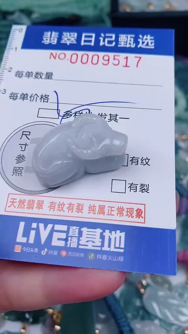 翡翠未镶嵌颈饰00009517