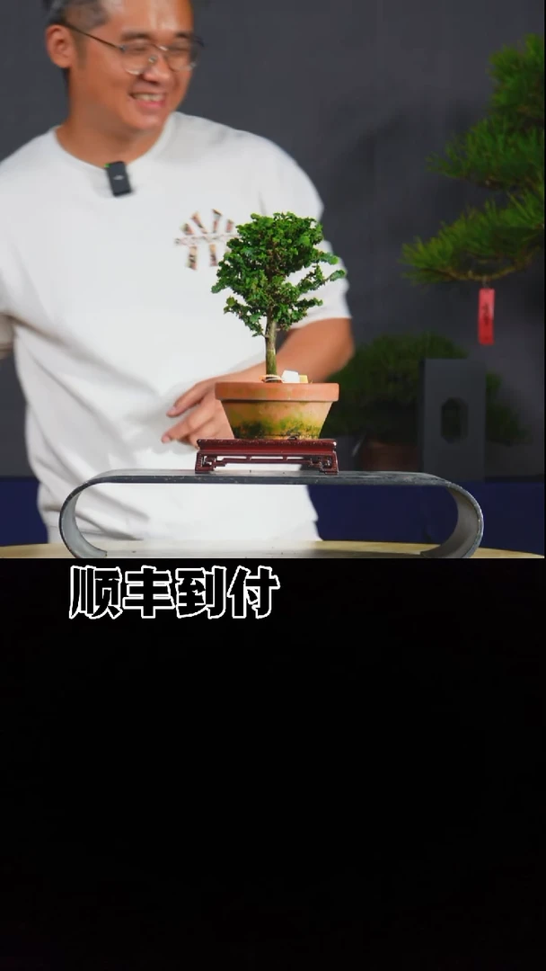 以实际为准石化桧bubaoyou