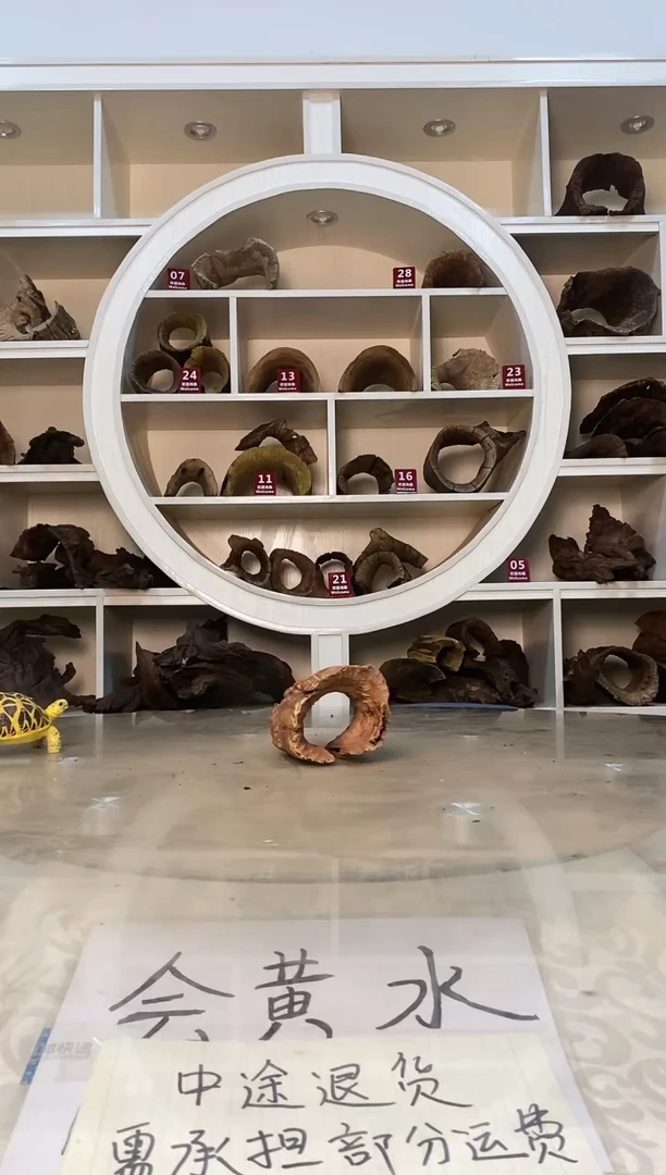 多****了鱼缸爬宠造景素材705